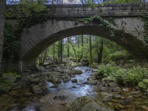 Old stone bridge, Parc Régional Naturel Corse, Corsica, France