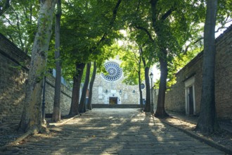 Cattedrale di San Giusto Martire of Trieste, Friuli-Venezia Giulia, Italy
