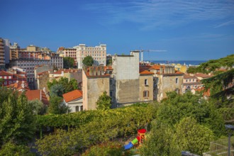 Old town centre of Trieste, Friuli-Venezia Giulia, Italy