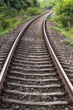A lonely railway track winds its way through a green, overgrown landscape, 400-year-old avenue of