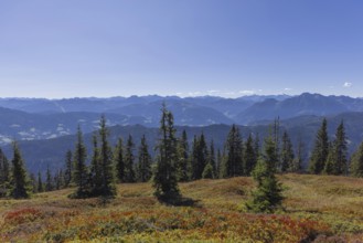 Landscape panorama, Hochkönig, Mountains, Salzburg, Autumnal