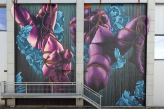 Mural with Shibari theme and bright turquoise and pink colours, at the port of Linz Upper Austria