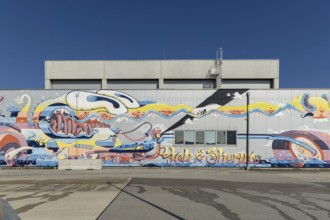 Colourful, wavy graffiti with abstract elements on a factory wall, at the port of Linz, Upper