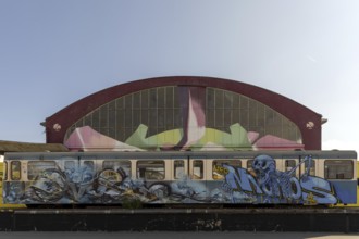 Skeleton graffiti on a train in front of a large building with a colourful facade, at the port of