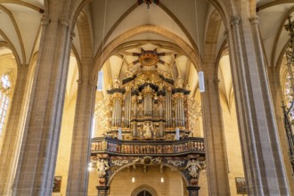 Organ of the Severikirche in Erfurt, Thuringia, Germany