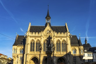Erfurt Town Hall at the fish market in Erfurt, Thuringia, Germany