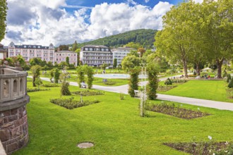Rose garden in Bad Kissingen, Bavaria, Germany