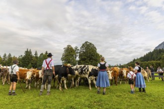Cattle drive, cattle drive, domestic cattle (Bovidae), herd, shepherdess, children, lederhosen,