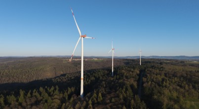 Several wind turbines tower above the treetops of a forest under a blue sky, near Schorndorf in the