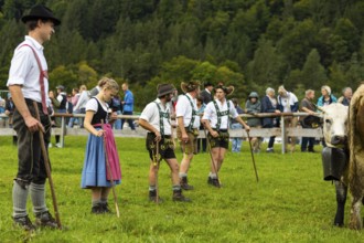 Cattle drive, cattle drive, shepherd, shepherdess, lederhosen, dirndl, traditional traditional