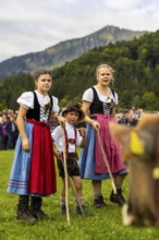 Cattle drive, cattle drive, domestic cattle (Bovidae), shepherdess, children, lederhosen, dirndl,