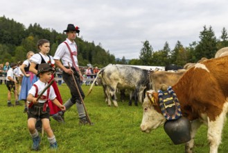 Cattle drive, cattle drive, domestic cattle (Bovidae), herdsman, children, lederhosen, dirndl,