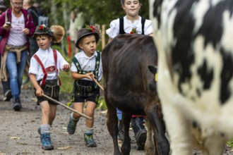 Cattle drive, cattle drive, domestic cattle (Bovidae), shepherdess, children, lederhosen, dirndl,