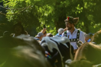 Cattle drive, herdsman, portrait, felt hat, chamois beard, traditional traditional costume,
