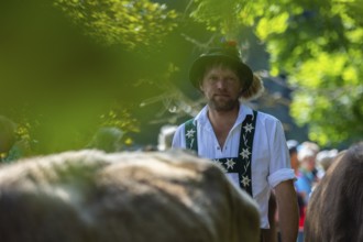 Cattle drive, herdsman, portrait, felt hat, traditional traditional costume, cattle (Bovidae),