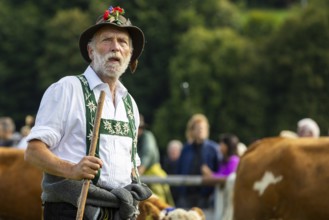 Cattle drive, herdsman, portrait, felt hat, chamois beard, traditional traditional costume,