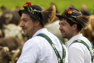 Cattle drive, herdsmen, portrait, felt hat, chamois beard, traditional traditional costume,