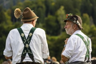 Cattle drive, herdsmen, portrait, felt hat, chamois beard, traditional traditional costume,