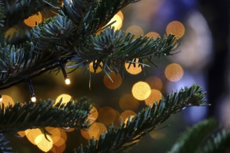 Christmas tree at Christmas time, Germany