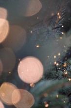 Christmas tree at Christmas time, Germany