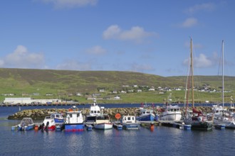 A quiet harbour with boats and a green range of hills in the background, Scalloway, Shetland