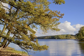 View of Lake Möhne, reflection, autumn atmosphere, blue cloudy sky, Möhne Dam, North