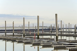 Winter day on the North Sea coast, reflection of boat moorings in the marina, Norddeich, Lower