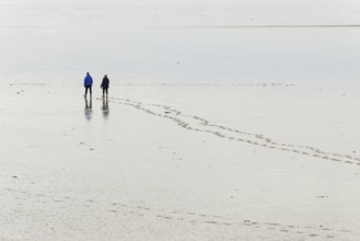 Nordseeküste, Wattenmeer, Personen gehen bei Ebbe durch das Watt, Norddeich, Niedersachsen,