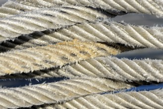 Thick ship jam, close-up, North Sea, Norddeich, Lower Saxony, Germany