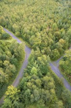 View over an autumnal mixed forest with forest paths, Arnsberg Forest nature park Park, North
