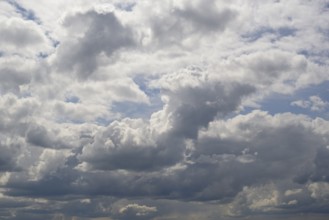 Cloud formation, blue sky with cumulus clouds, North Rhine-Westphalia, Germany