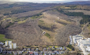 Forest damage and clear-cutting, Salchendorf, Neunkirchen, Siegerland, North Rhine-Westphalia,