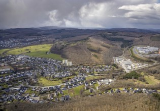 Forest damage and clear-cutting, Salchendorf, Neunkirchen, Siegerland, North Rhine-Westphalia,