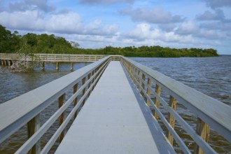 A long wooden walkway leads into the water, under a cloudy sky, West Lake View Point, Everglades