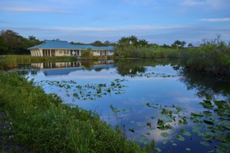 A house by a pond with water reflections and peaceful surroundings, Royal Palm Visitor Centre,