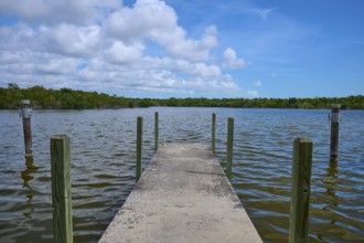 A concrete jetty stretches into the water, surrounded by wooded nature under a cloudy sky, West