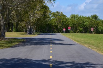 A tarmac road with no stopping signs and surrounded by trees, Flamingo, Everglades National Park,