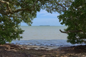 A natural frame of dense foliage frames a view of the sea, Flamingo, Everglades National Park,