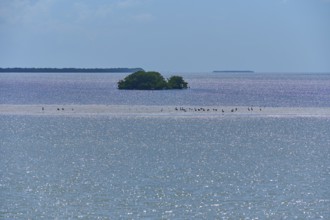 A sandbar with birds in front of an island on a calm sea, Flamingo, Everglades National Park,