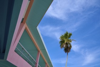 A palm tree next to a colourful house under a blue sky on a summer day, National Park Info Center,