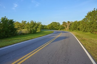 A country road with a slight curve surrounded by trees on a sunny day, Flamingo, Everglades