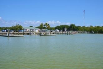 Harbour with buildings and palm trees under a blue sky, Flamingo, Marina, Everglades National Park,