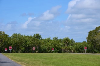 Several stop signs along a road with lush greenery and clear skies, Flamingo, Everglades National