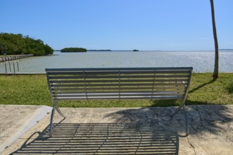 Metal bench with view of the sea and island, surrounded by palm trees, Flamingo, Everglades