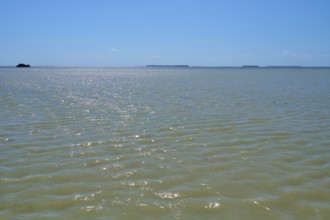 View over the glittering surface of the sea under a clear sky, Flamingo, Everglades National Park,