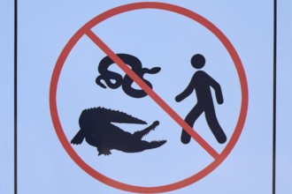 Prohibition sign with images of a snake, a crocodile and a person, Flamingo, Marina, Everglades