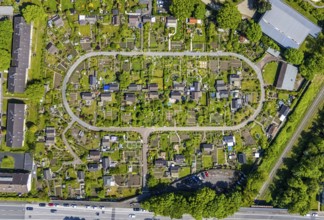 Aerial view, allotment garden site KGV Stollenhof, Saarner Straße, Speldorf, Mülheim an der Ruhr,