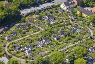 Aerial view, allotment garden site KGV Stollenhof, Saarner Straße, Speldorf, Mülheim an der Ruhr,