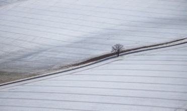 Aerial view of a dirt road with a lonely tree in winter with snow and view of Körbecke in Möhnesee