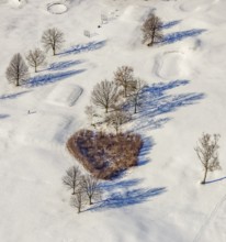 Aerial view, heart-shaped bushes in a winter landscape in the golf course of Raffelberg racecourse,